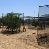 JFN Heavy Duty Polyethylene Bigger Bird UV Netting 1-7/8" square mesh , Custom Size