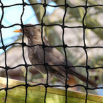 JFN Heavy Duty Polyethylene Bigger Bird UV Netting 1-7/8" square mesh , Custom Size